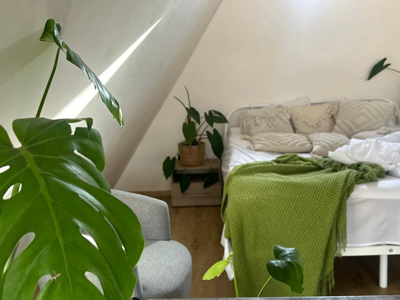Magc Nature Of Holiday home Dilijan